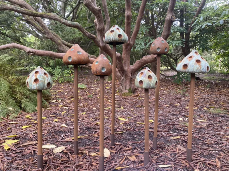 Enoki Dot Mushrooms under tree