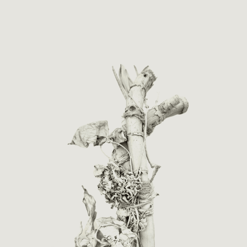 Off-white dried flower arrangement with soft natural materials and harmony