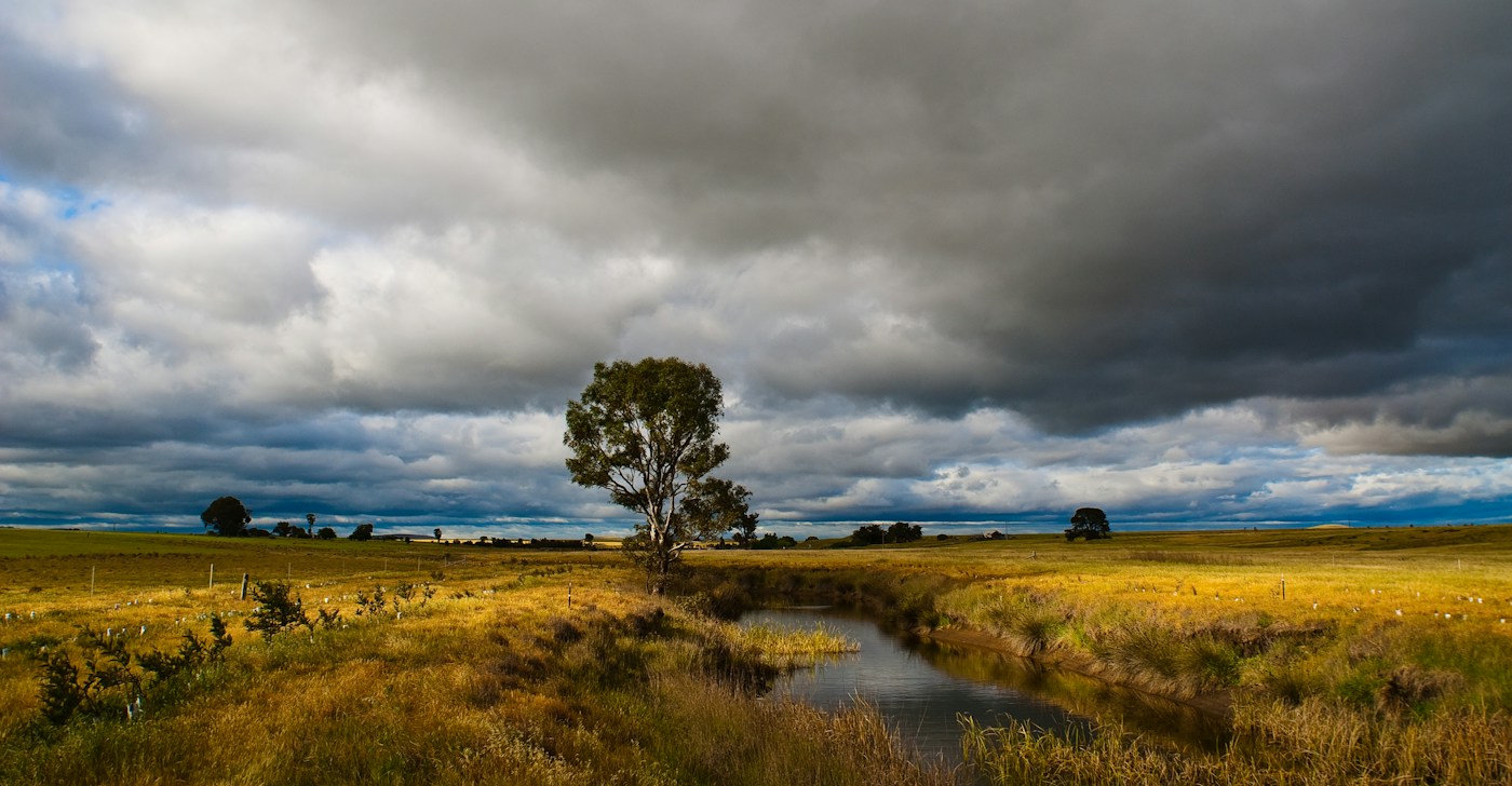 dark rain cloud over a single tree in an open field