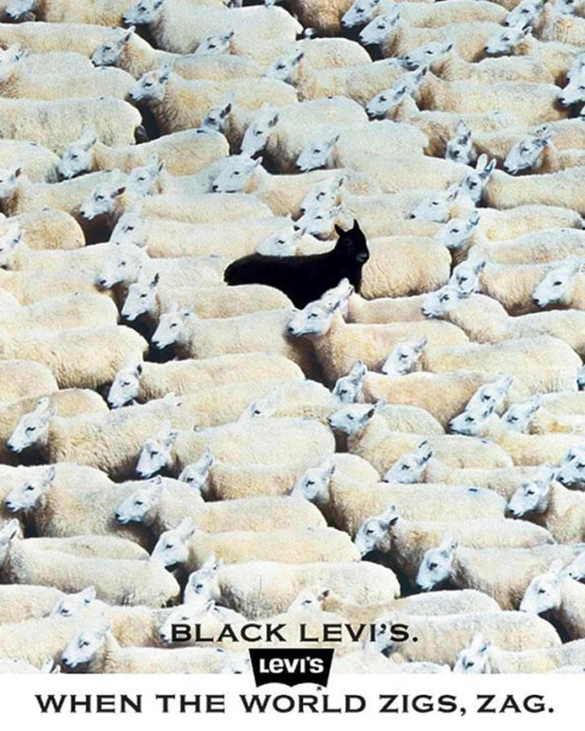 A fluffy gray rabbit rests on a floral chair.