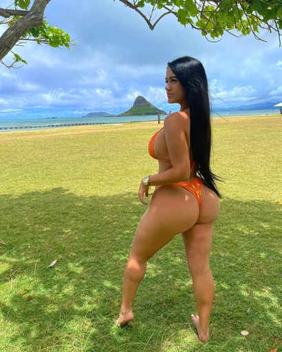 An antelope in a field at sunset