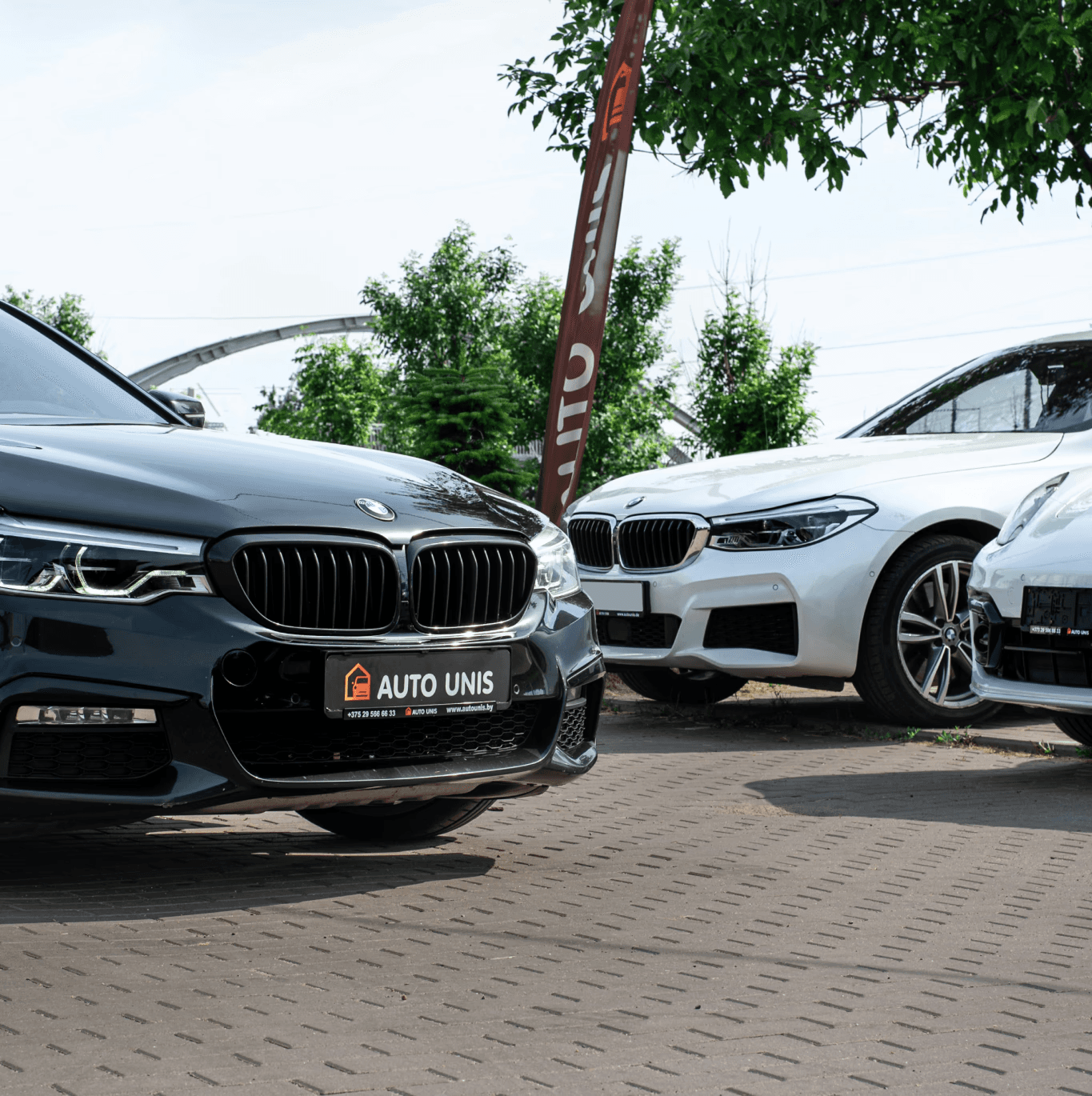 Three BMW cars parked outdoors