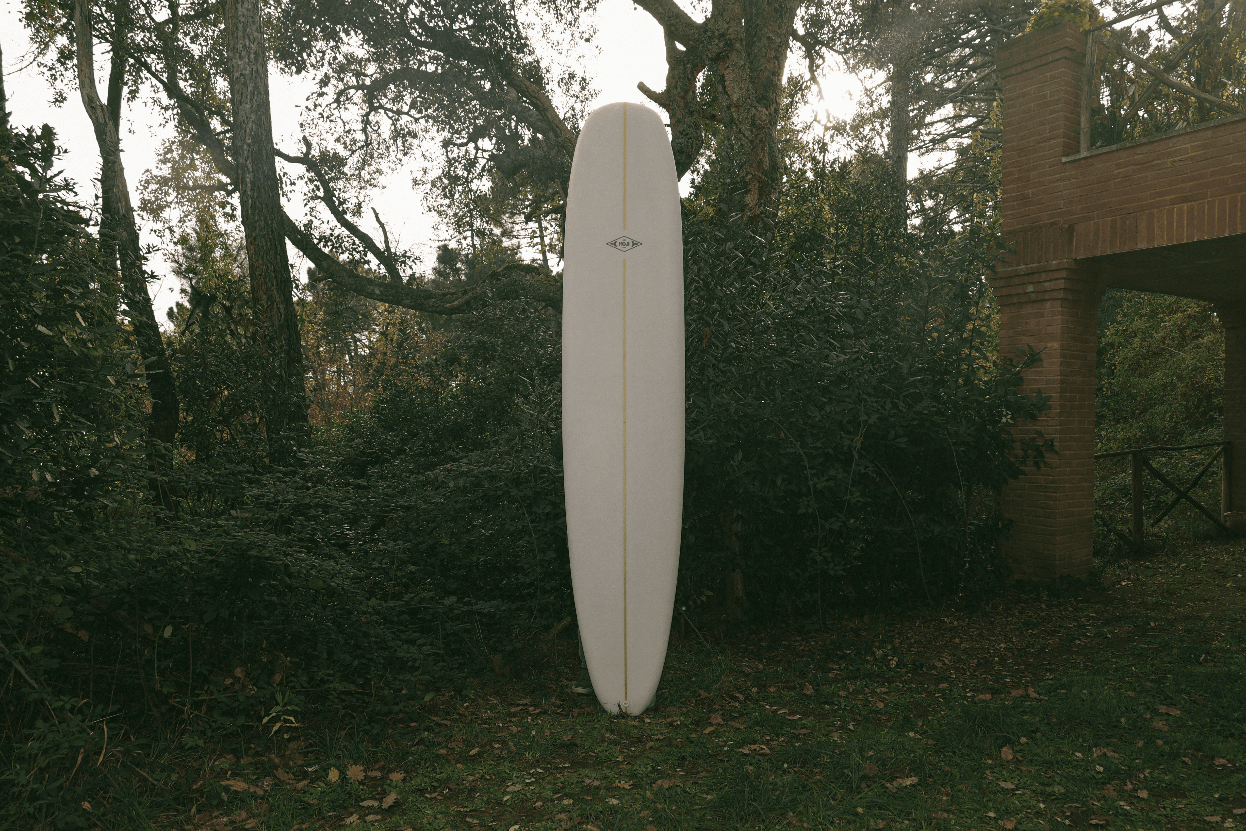 Lonboard da surf gros michel logo Moji sulla punta, esposto verticalmente in un'area boscosa.