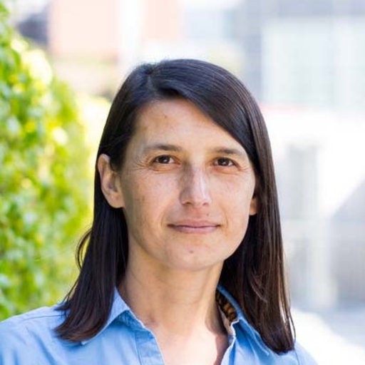 Image result for fatma kaplan pheronym