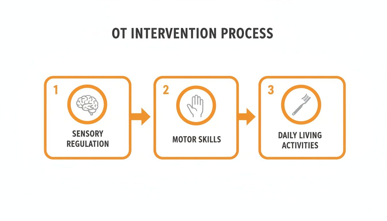 Flowchart illustrating the OT intervention process steps: sensory regulation, motor skills, and daily living activities.