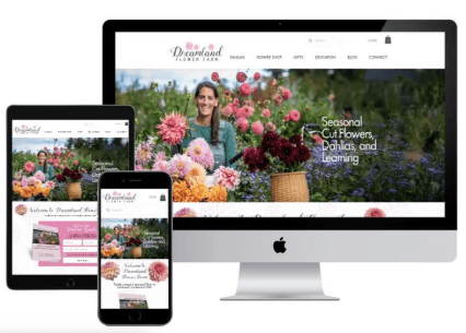 Agency Workspace Setup