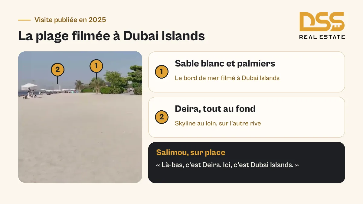 Plage filmée à Dubai Islands avec sable blanc, palmiers et côte de Deira visible au loin, distinguant les 2 rives.