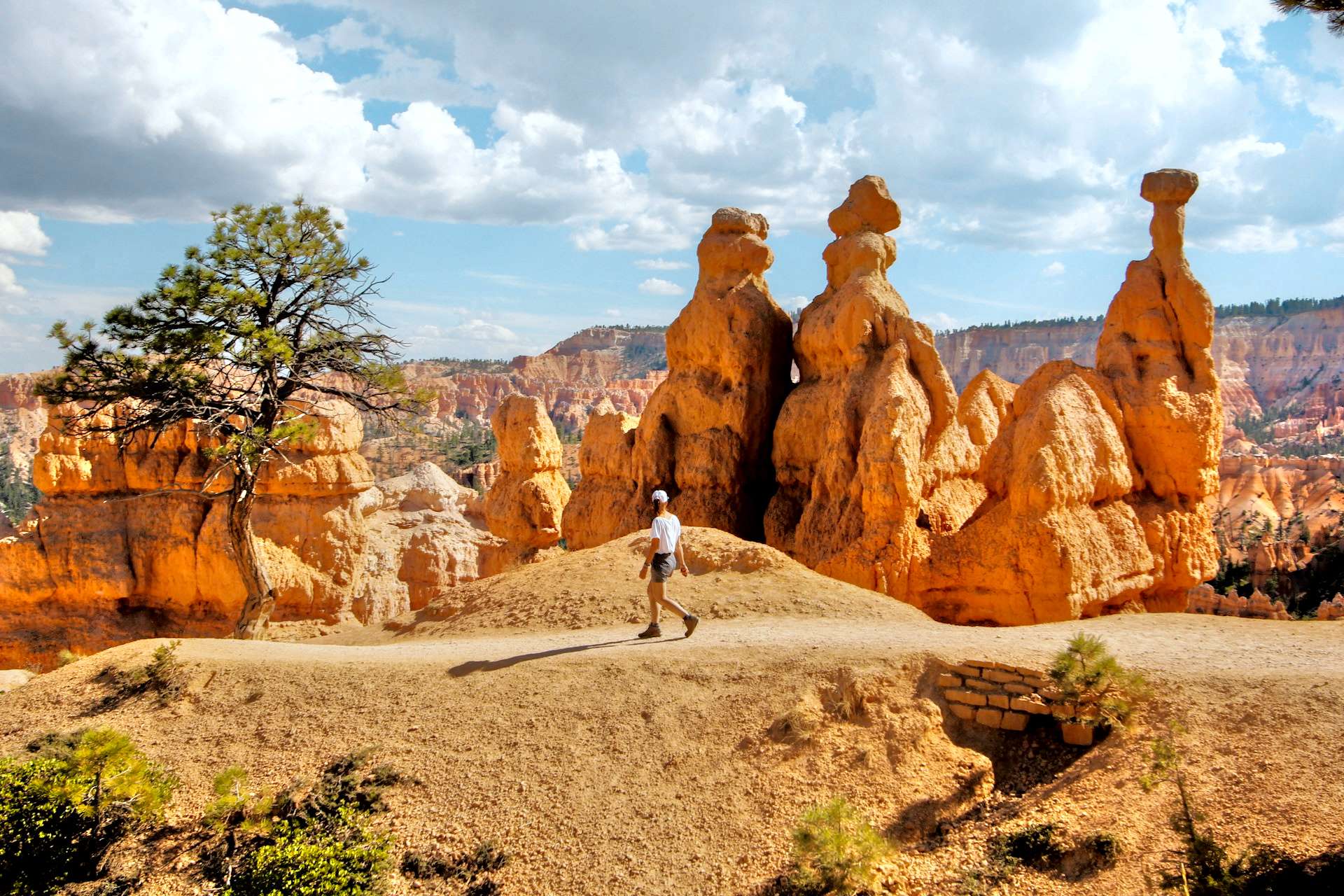 brown and white temple surrounded by green trees during daytime
