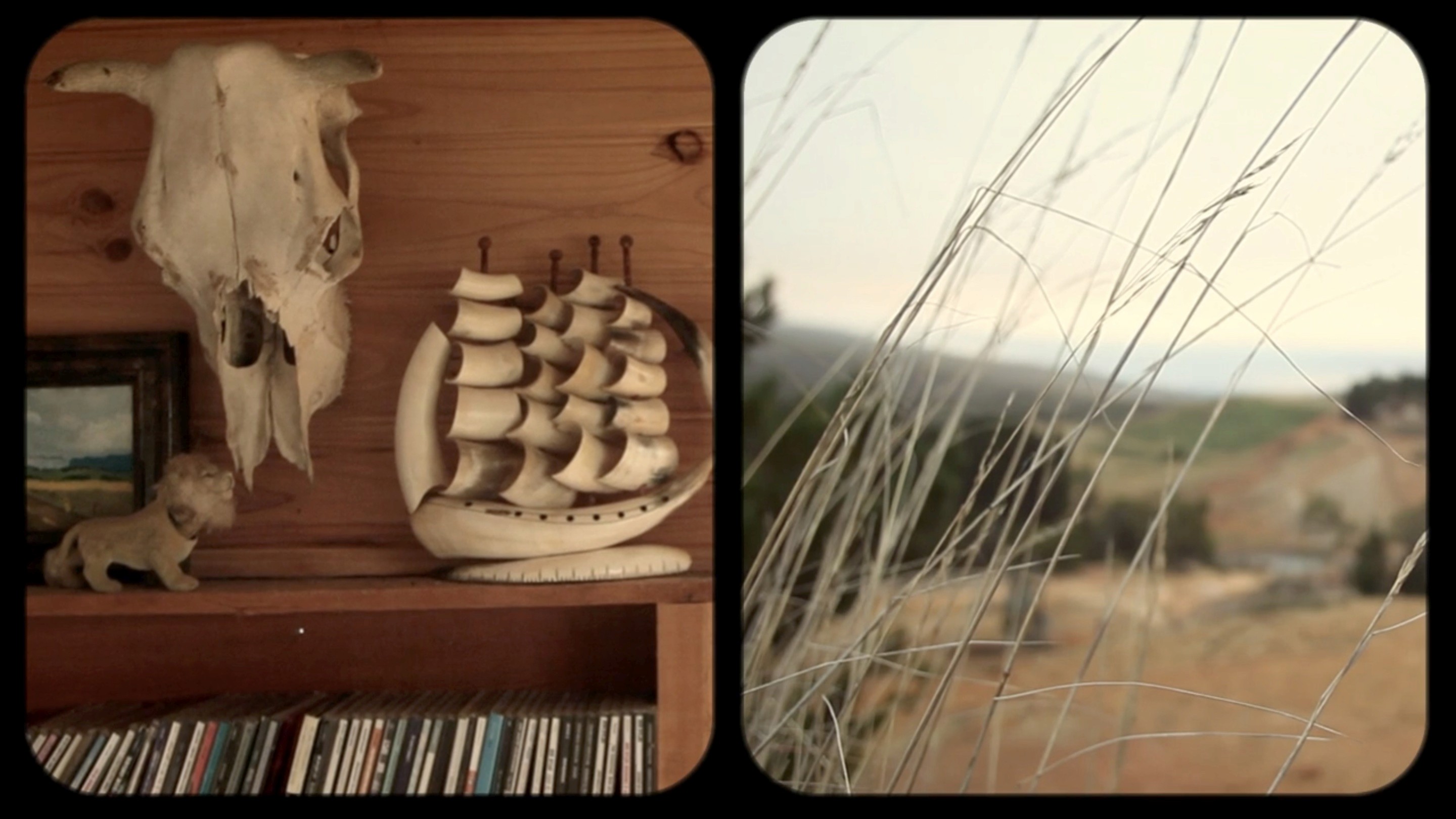 split screen, interior and exterior