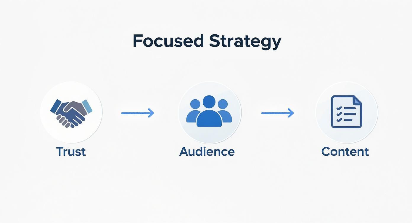 Infographic about collaboration in social media