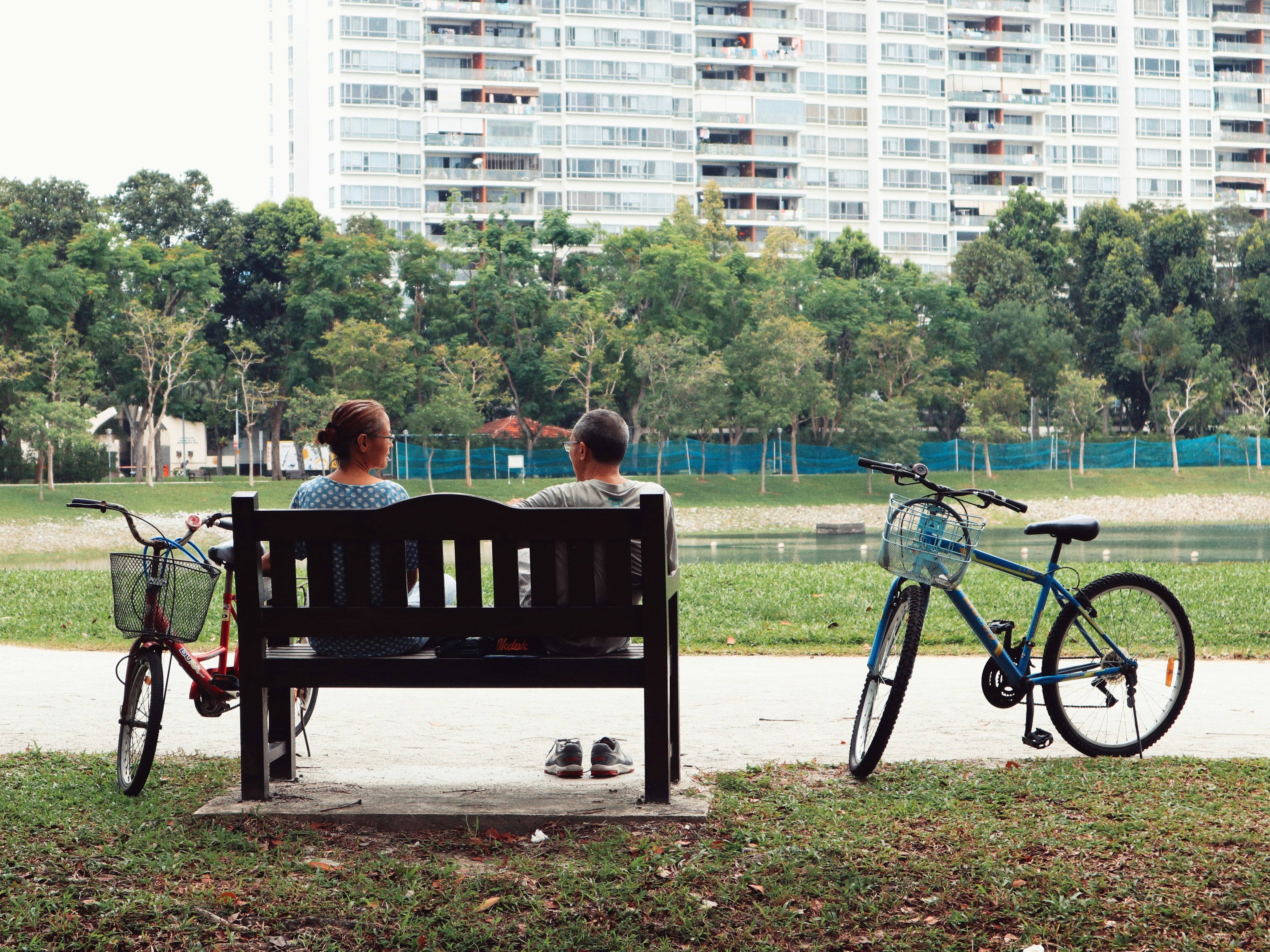 A couple sits on a park bench facing a serene pond, with two parked bicycles nearby, surrounded by lush greenery and a backdrop of tall apartment buildings under a clear sky.