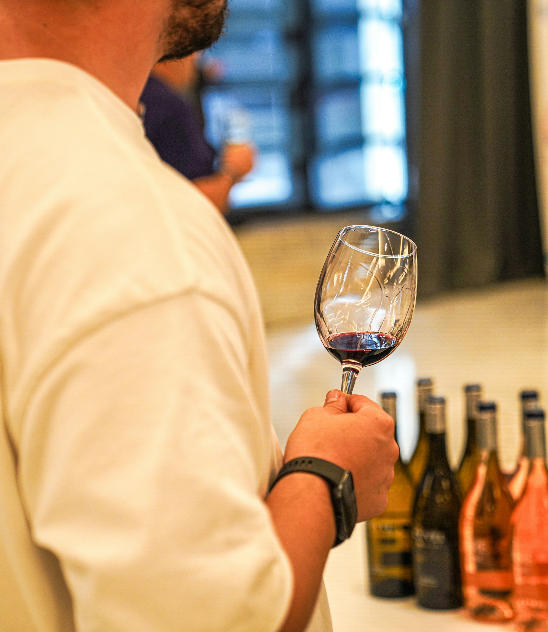 Close-up of a tree stump showing growth rings and a textured brown wood surface.