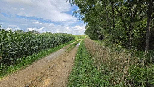 Photo 5 of 4795 Steiger Lane, Waterloo