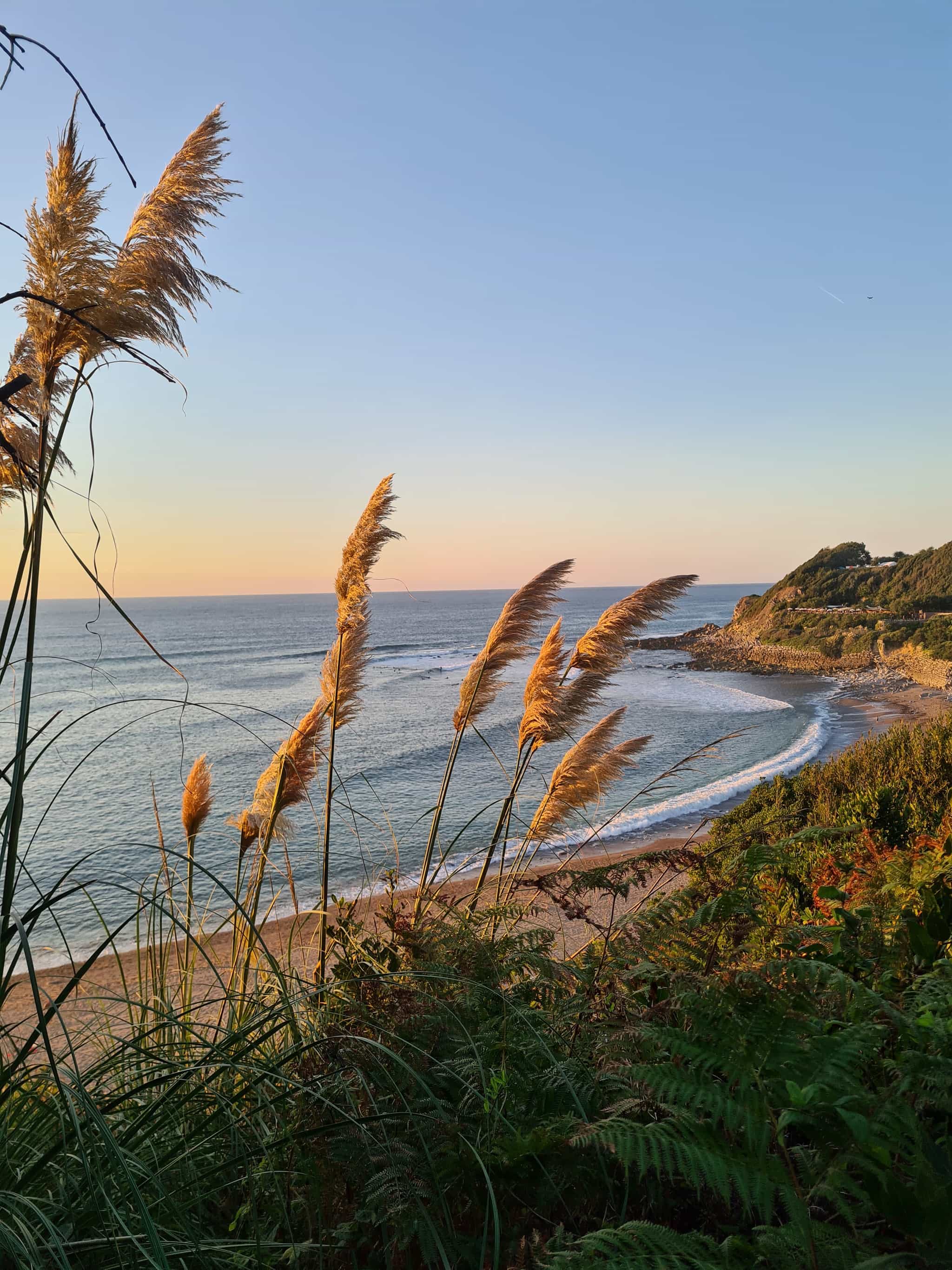 Exclusive visit to hidden French & Spanish Basque vineyards, only known by the locals.
