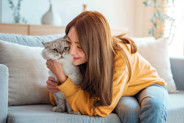 A cat cuddling with the cat sitter who is looking after her