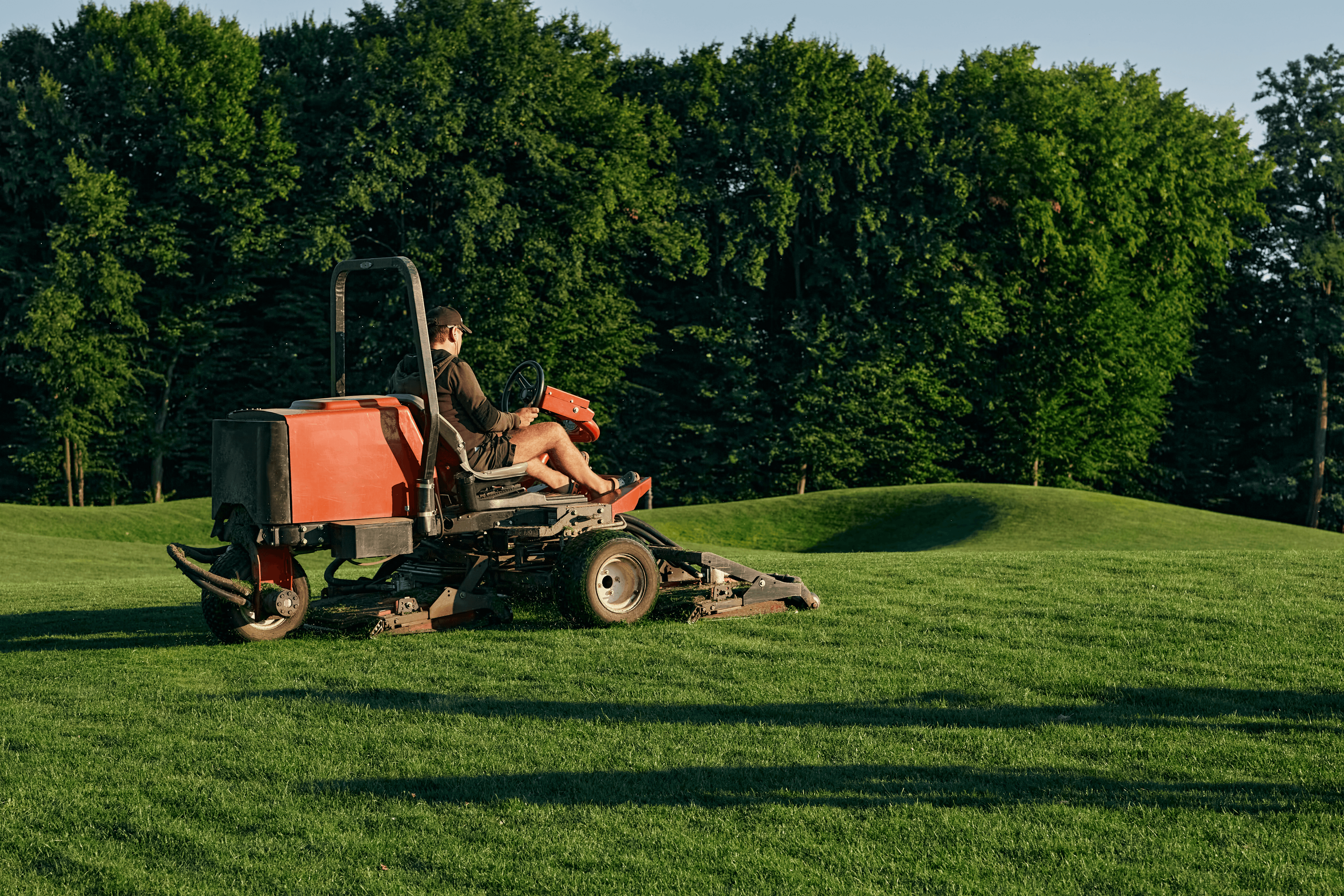 Landscaping