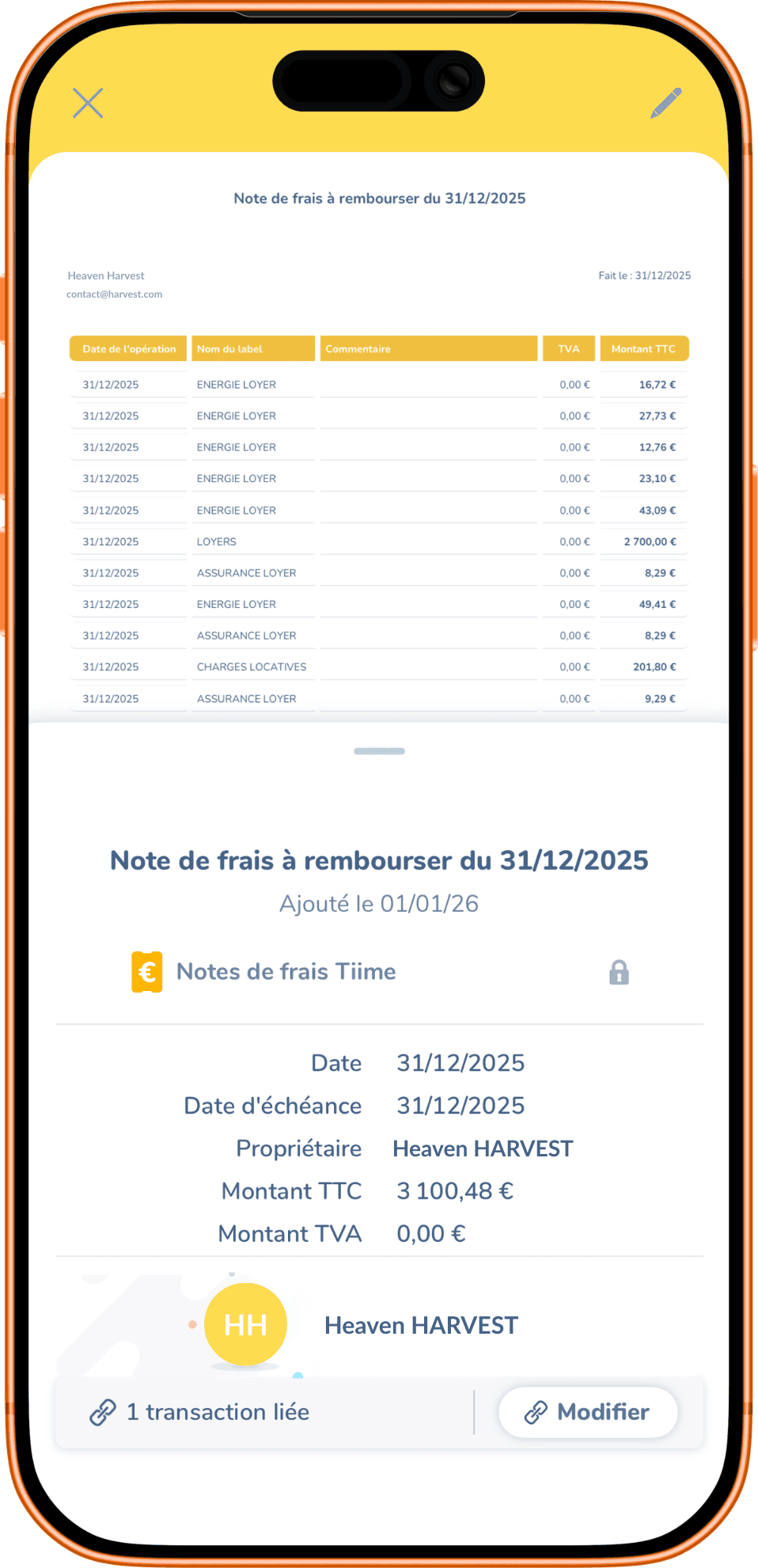 Woman Focused on Working Laptop