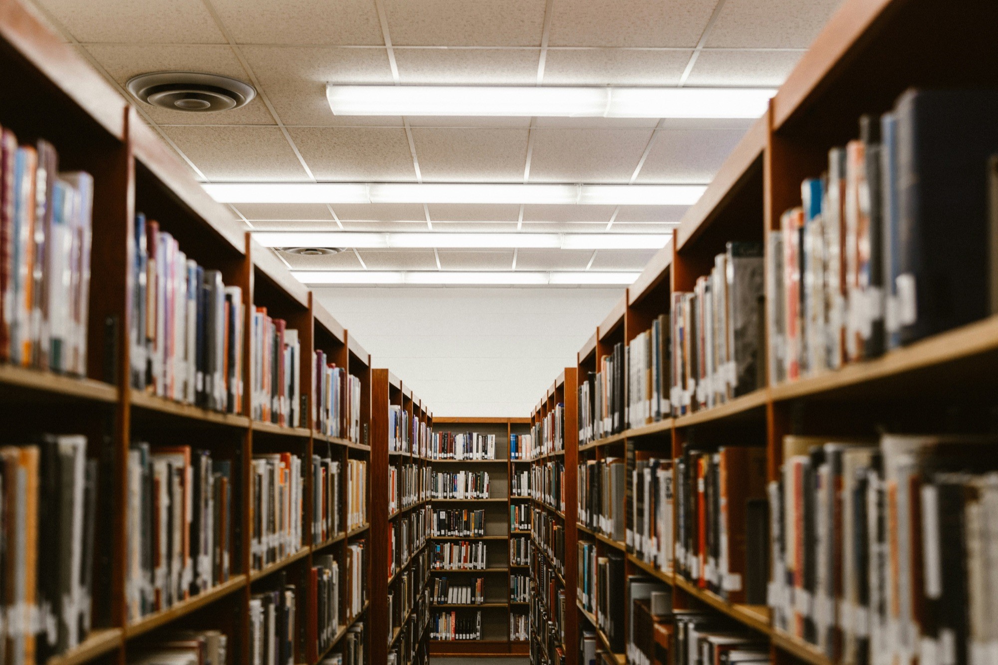 Library shelves lined with books