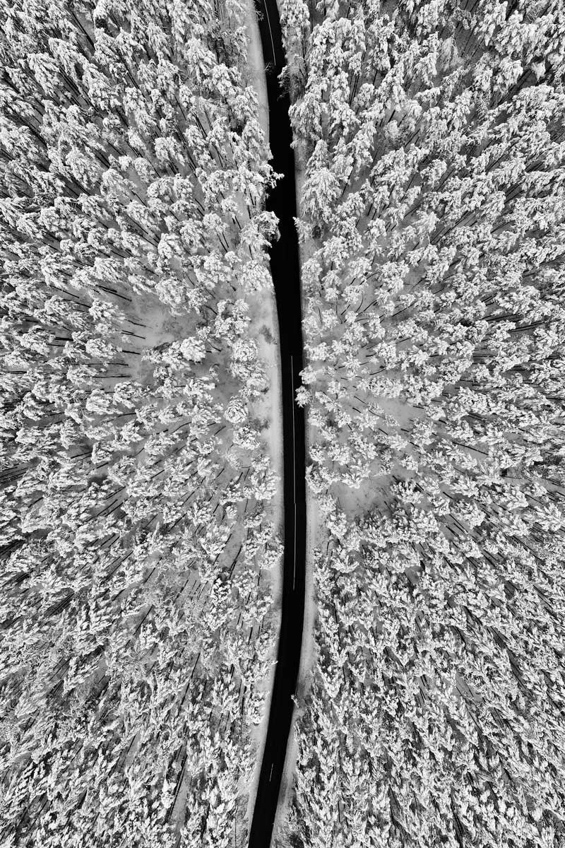 Snow covered trees road provincial Vilnius - Pavilnys Regional Park nature