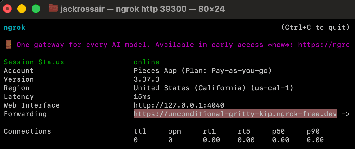 Example terminal output for ngrok tunnel