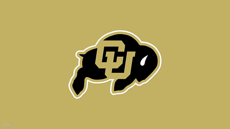 San Antonio Brahmas Football logo