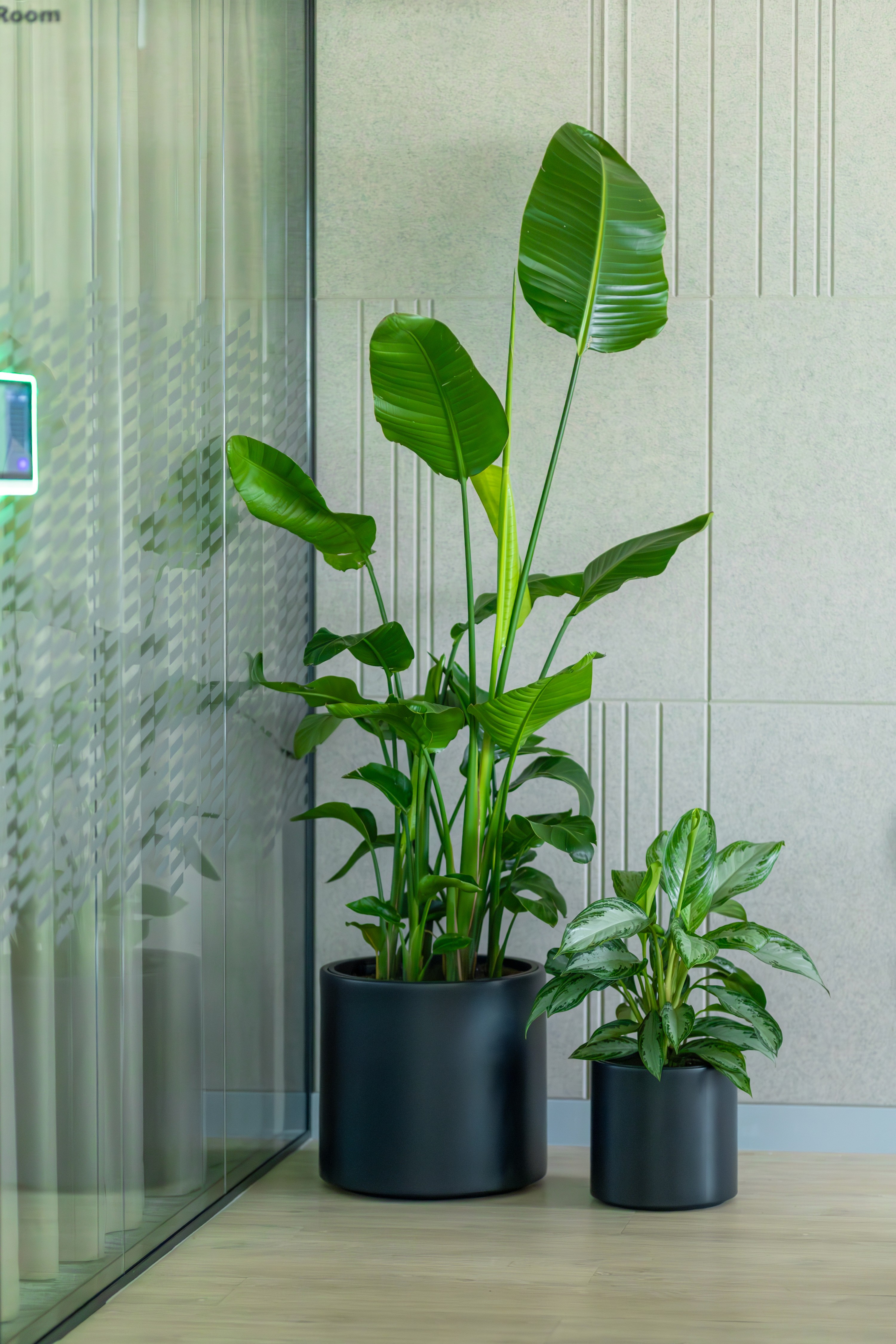 A woman in a straw hat stands in the grass