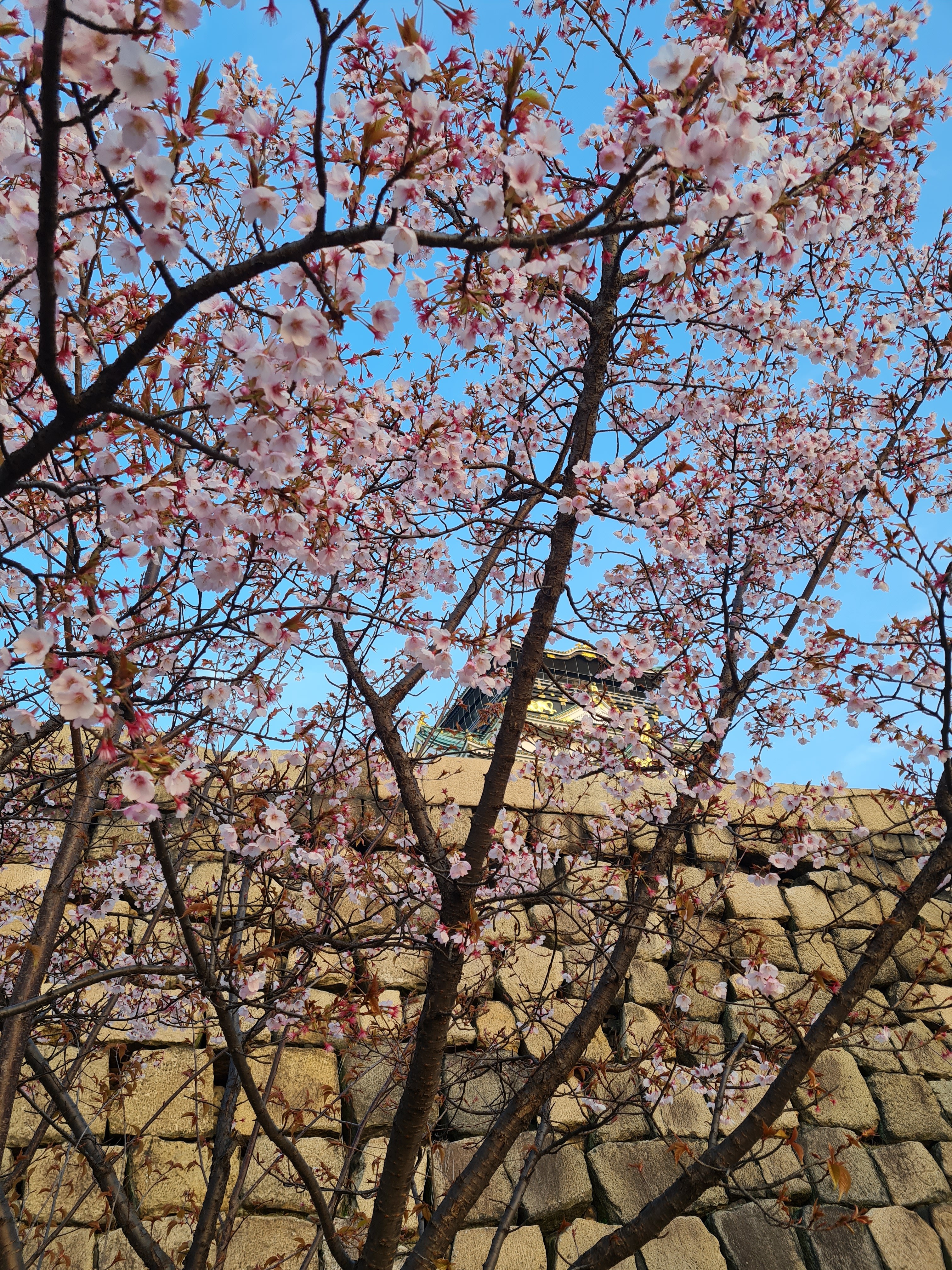 Islands in the ocean at sunset