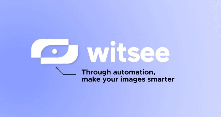 Witsee logo