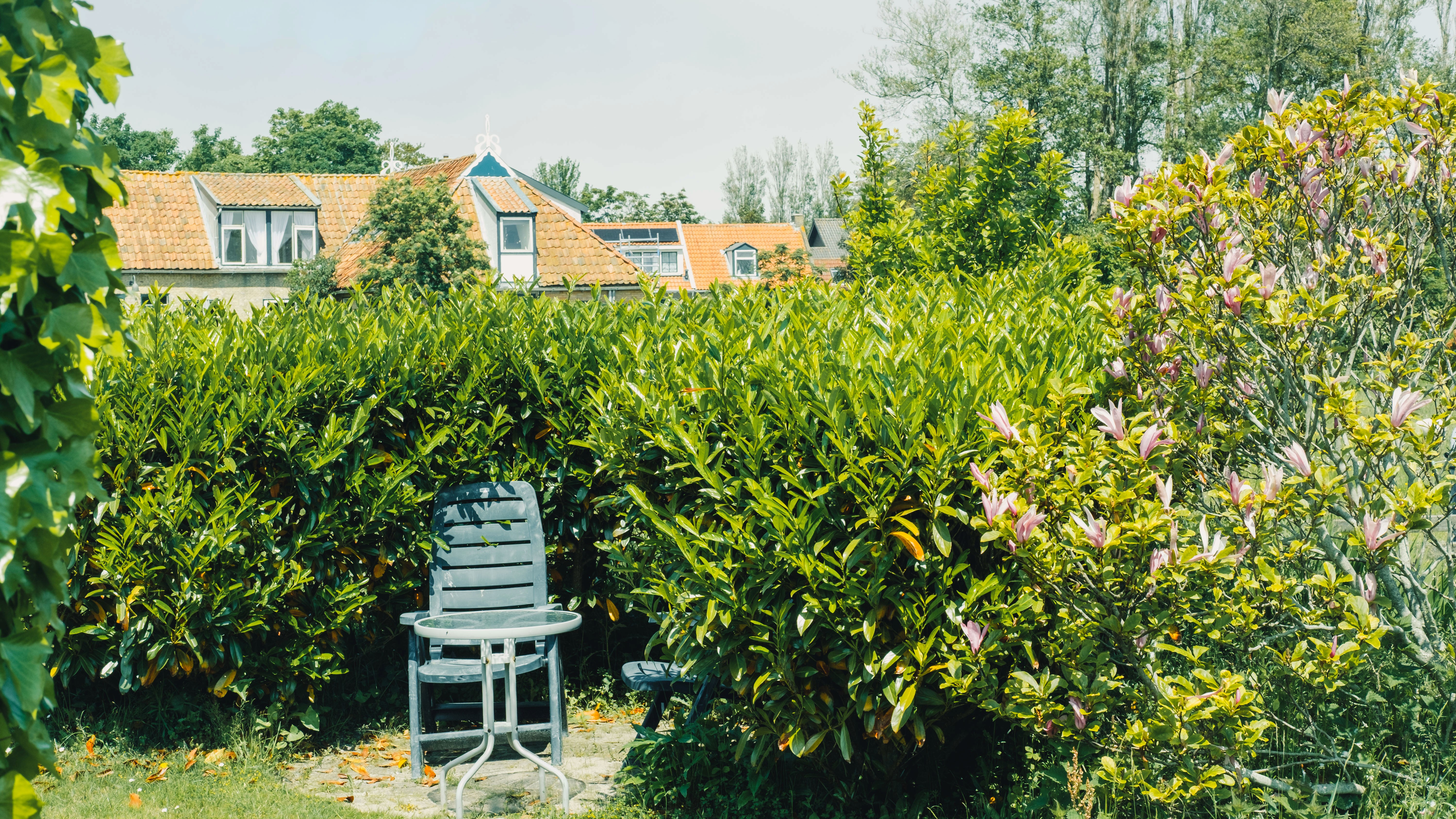 Testimonial Author Image 1