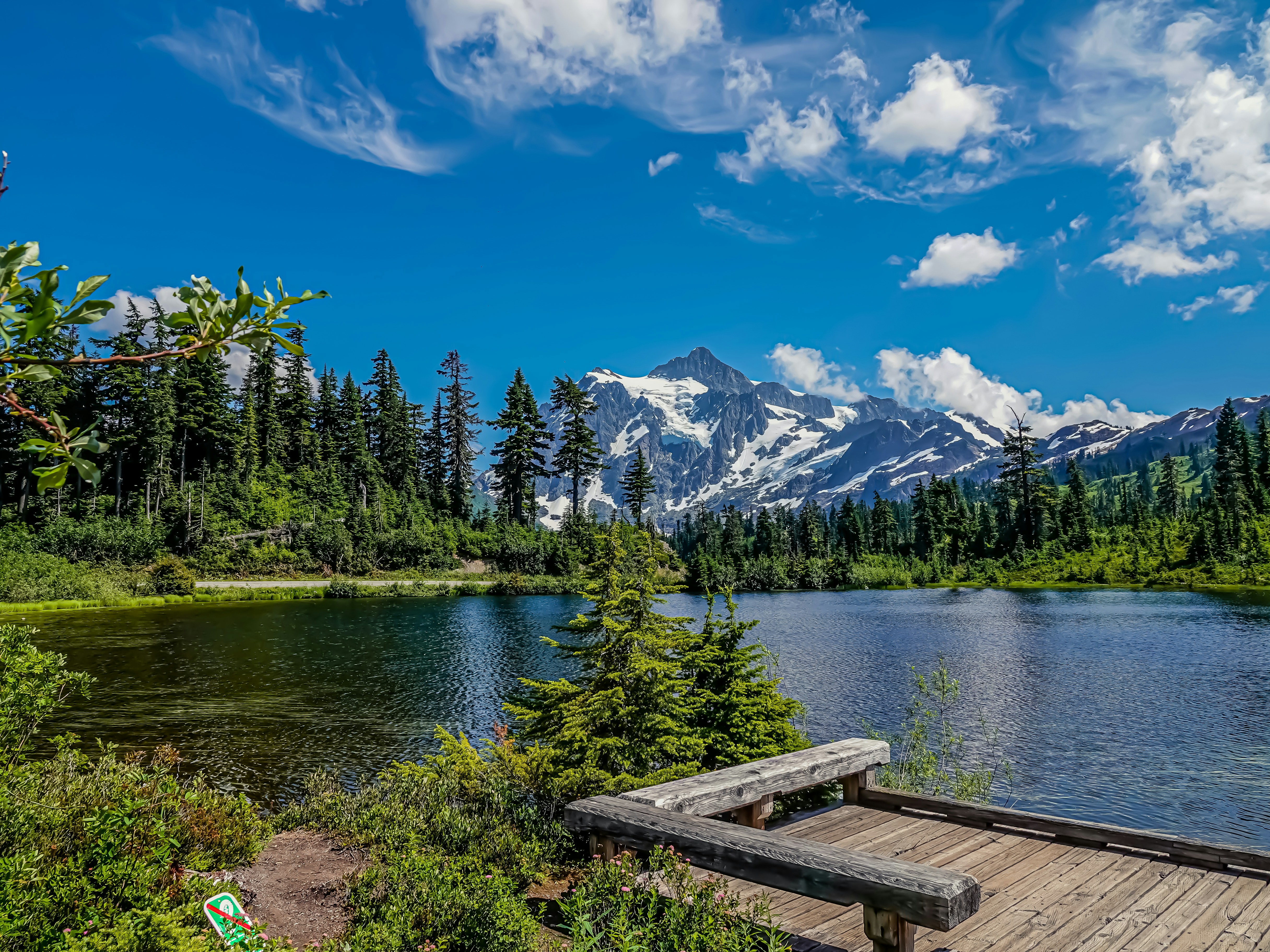 green pine trees near lake under blue sky during daytime