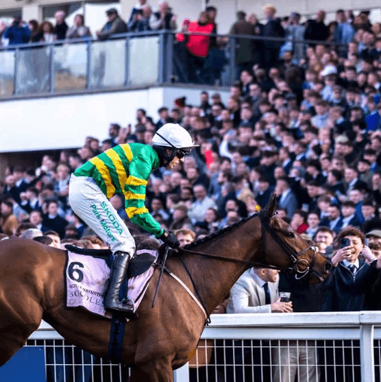 Cheltenham Festival 2026