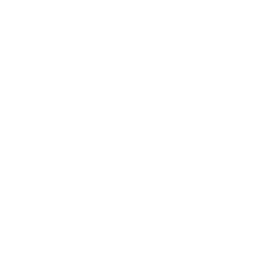 Newberry Software Logo