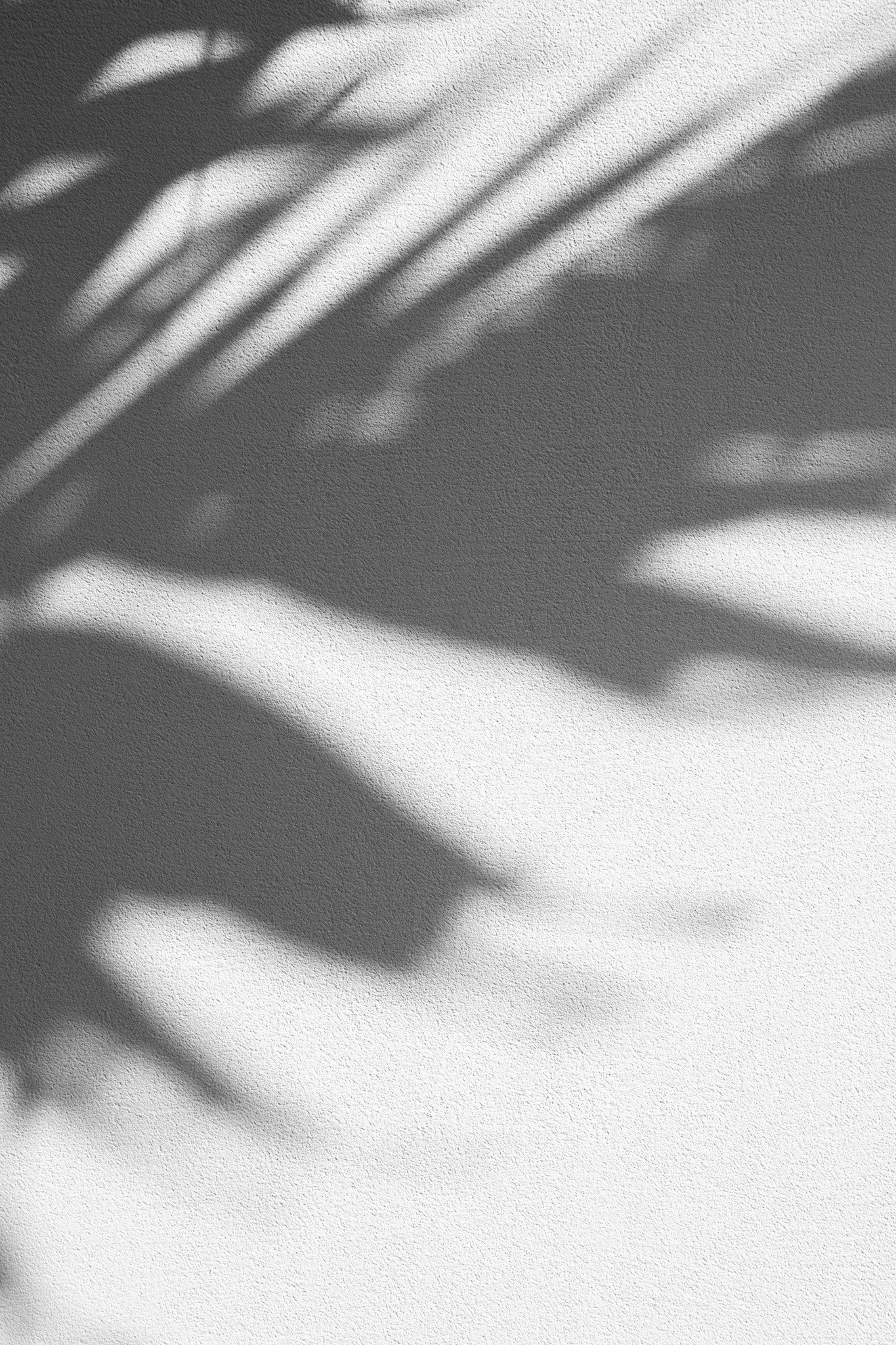 shadow on a white wall
