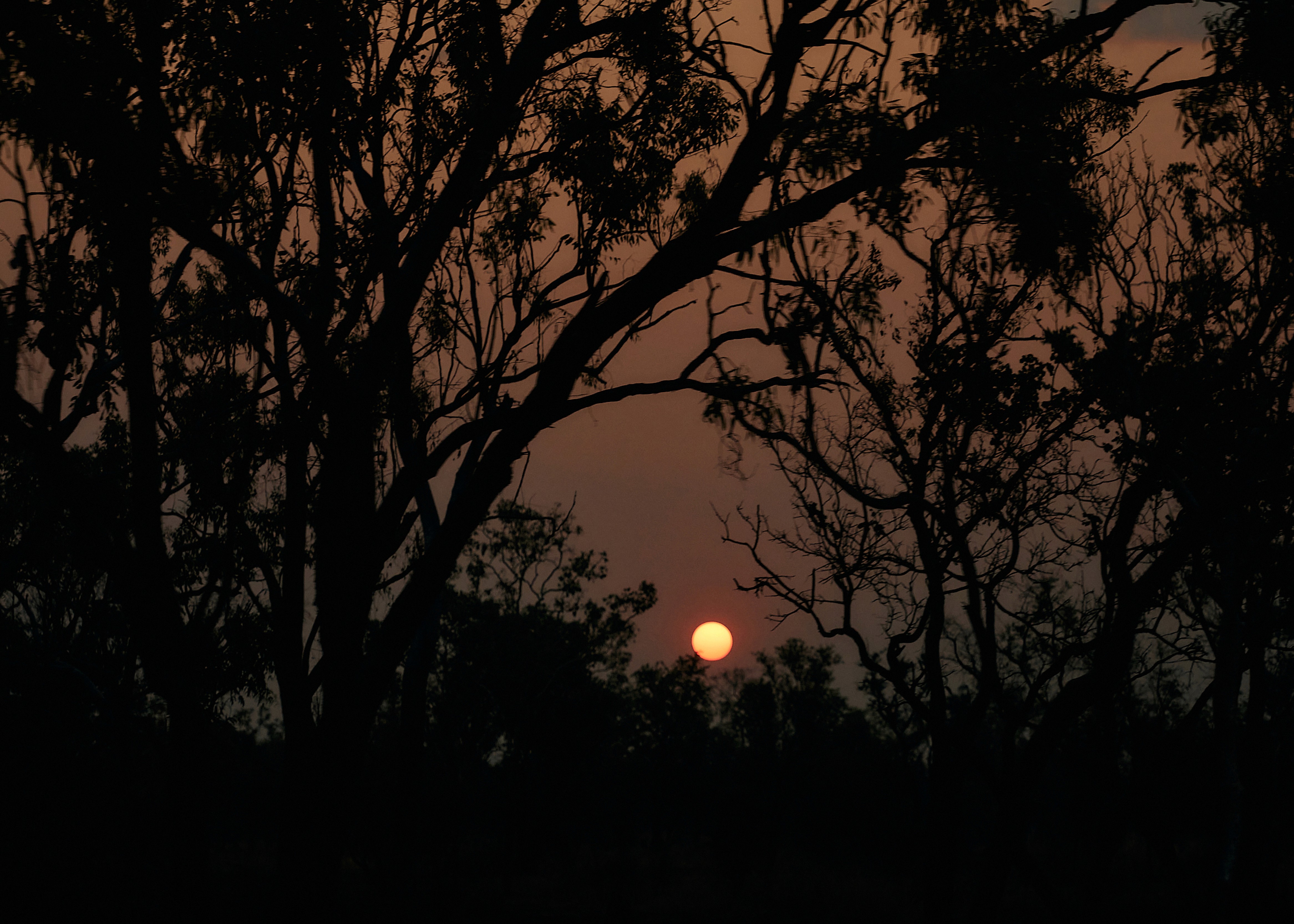 Image Trail by MilkyThemes