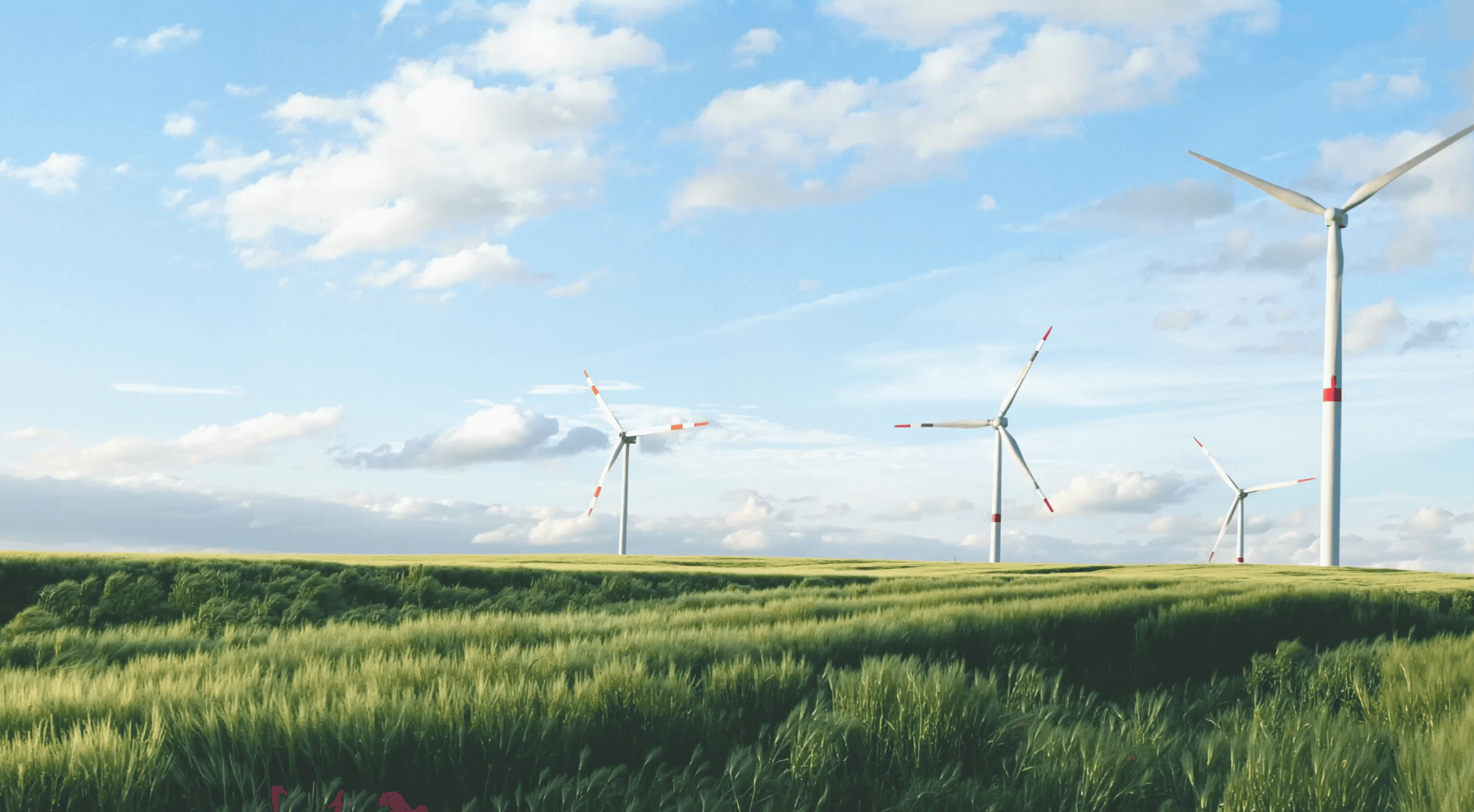 Wind turbines in a field with a clear blue sky-0