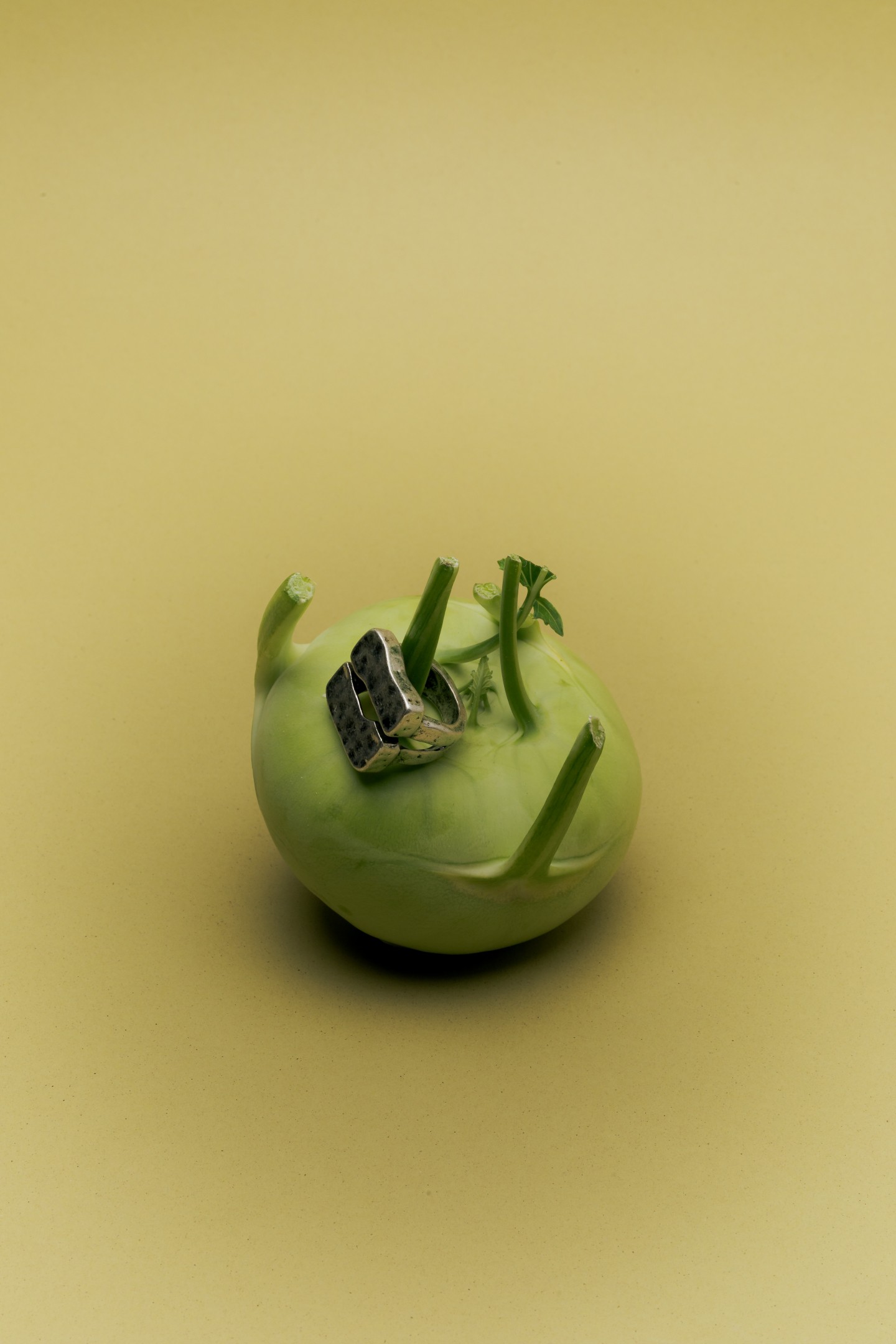 Food Fashion