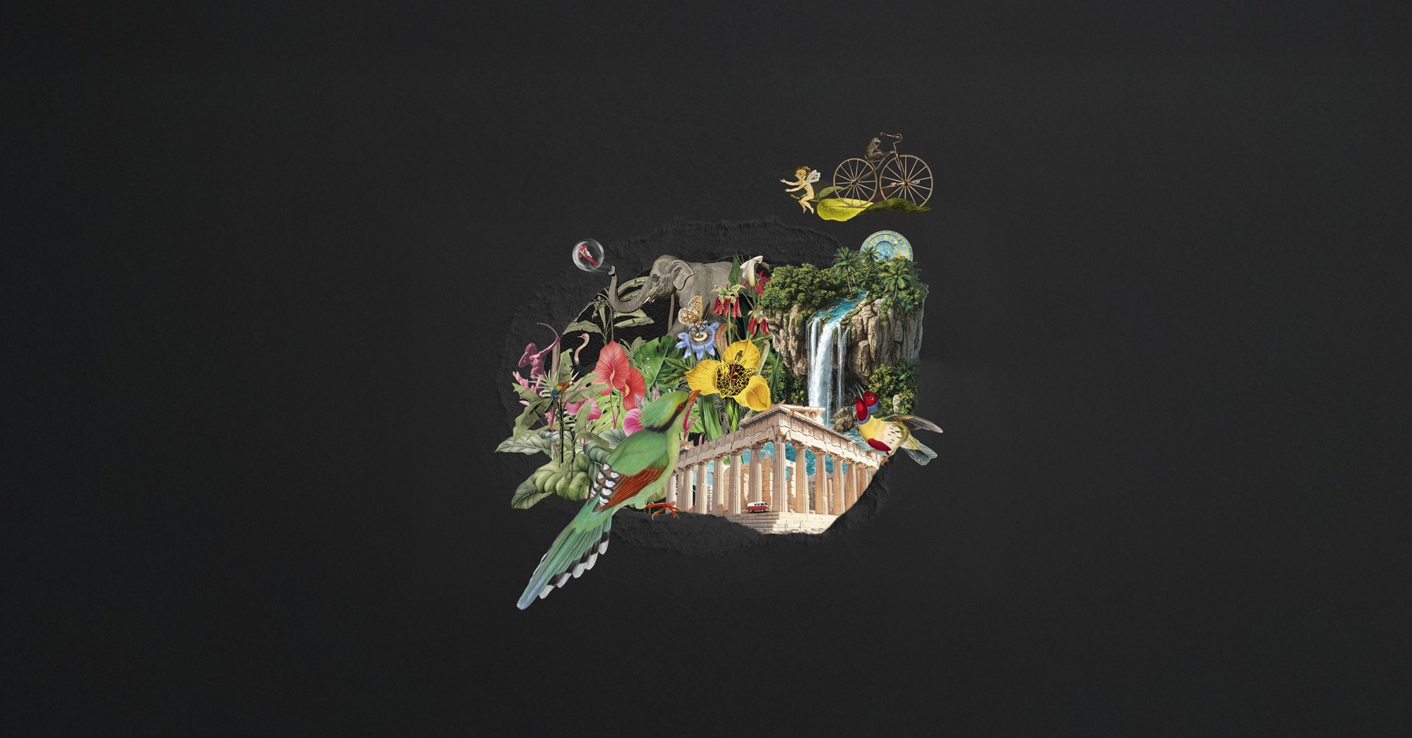 Nueva imagen de marca de Thankium con ‘Fragment of Happiness’, un universo visual inspirado en creatividad, innovación y cultura