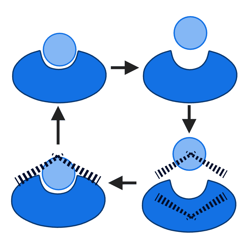 An image of Freelio's project ui