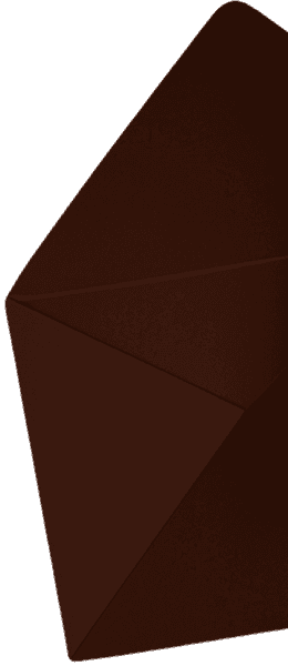 Онлайн-лекция по таргетингу с доступом через почту