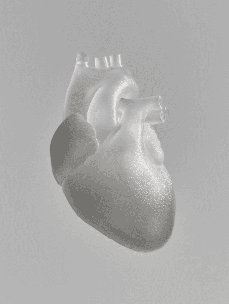 3d heart