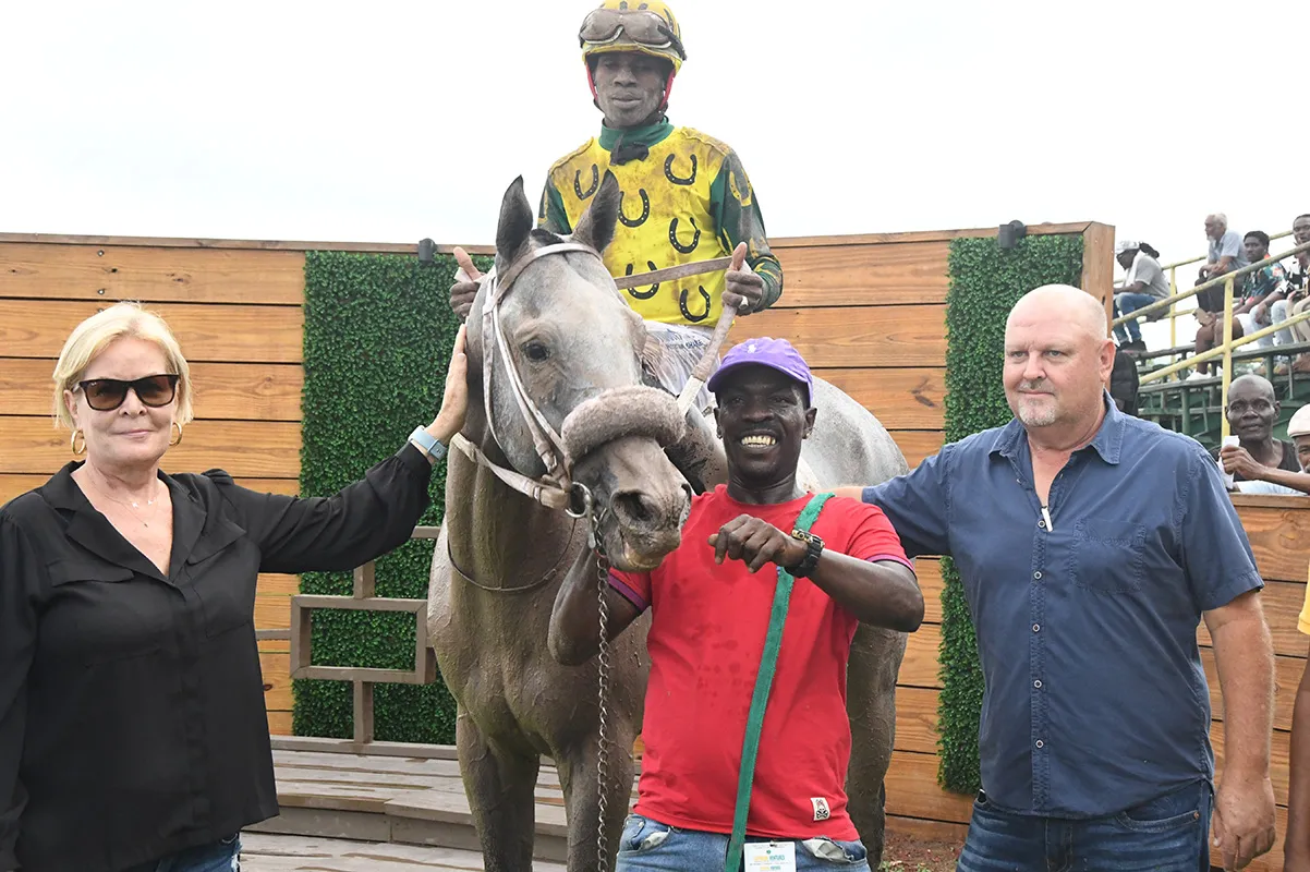Video Image