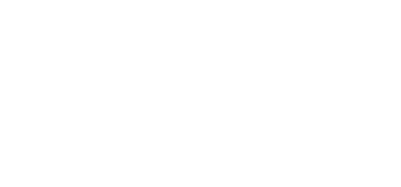 MAVA Logo