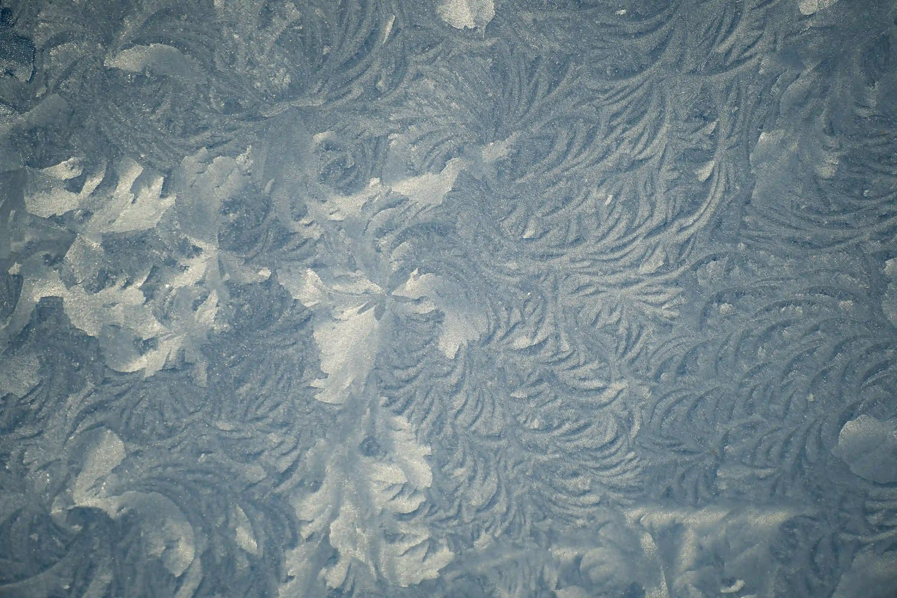 texture pattern arial view