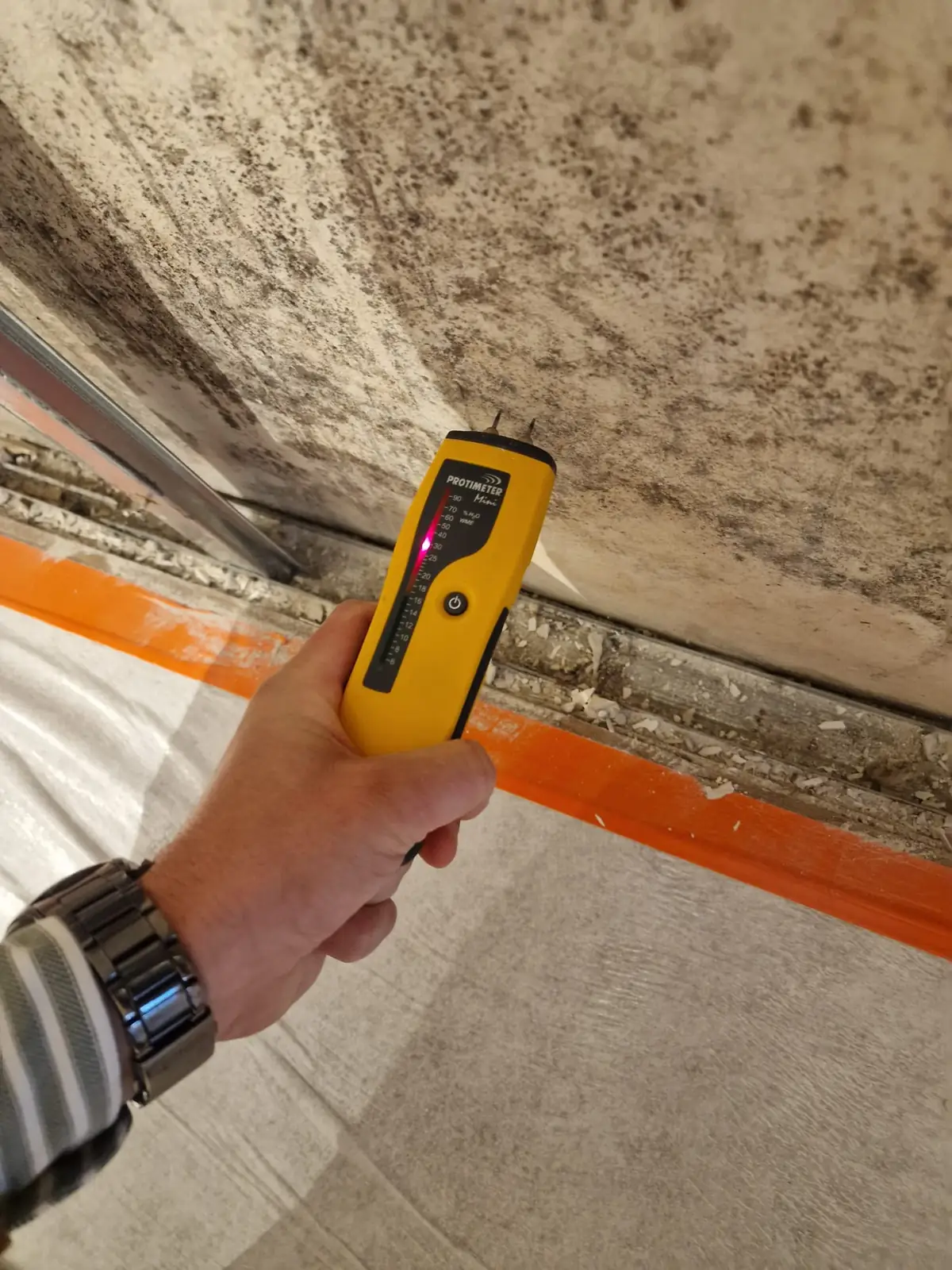 Mesure du taux d’humidité sur un mur présentant des moisissures