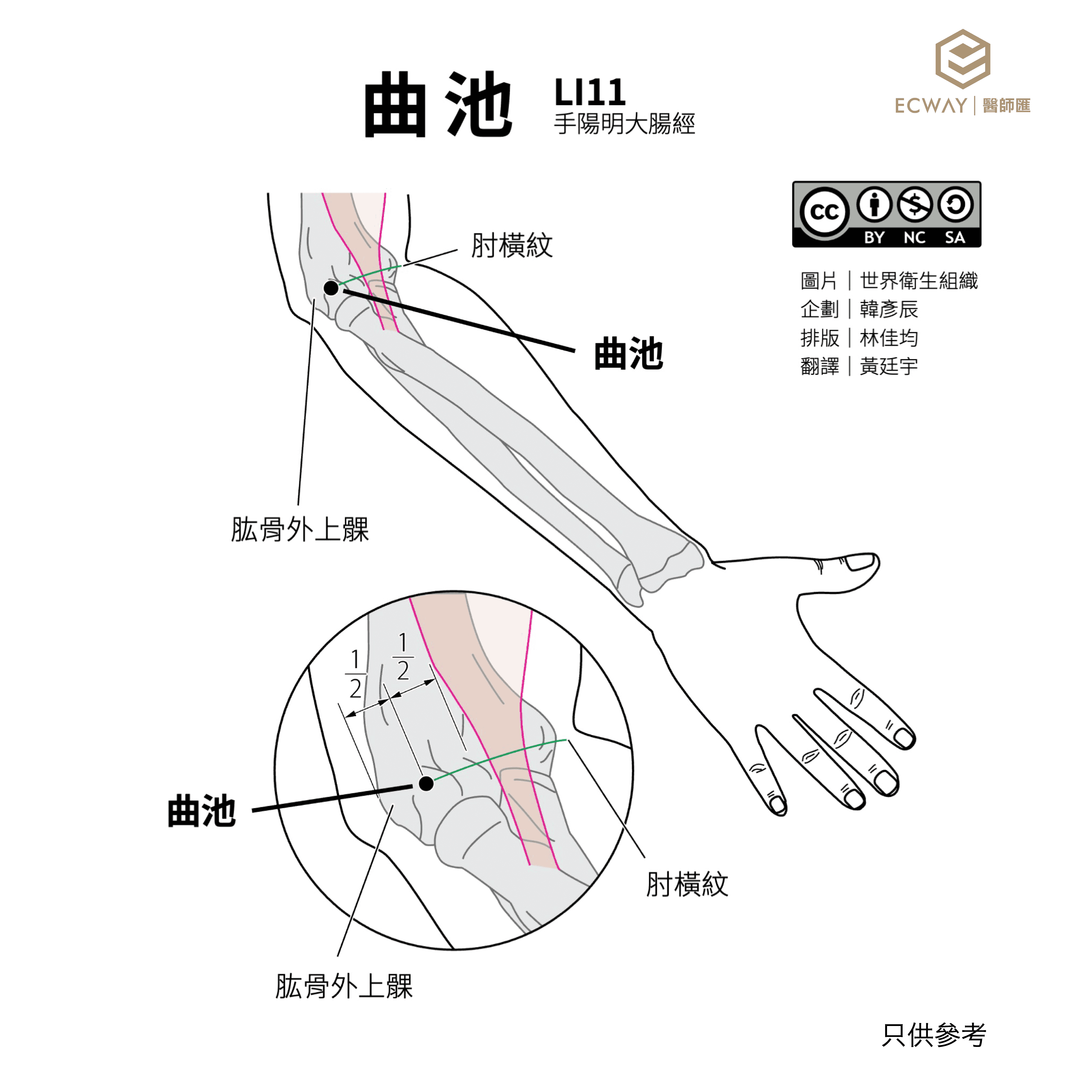 曲池穴