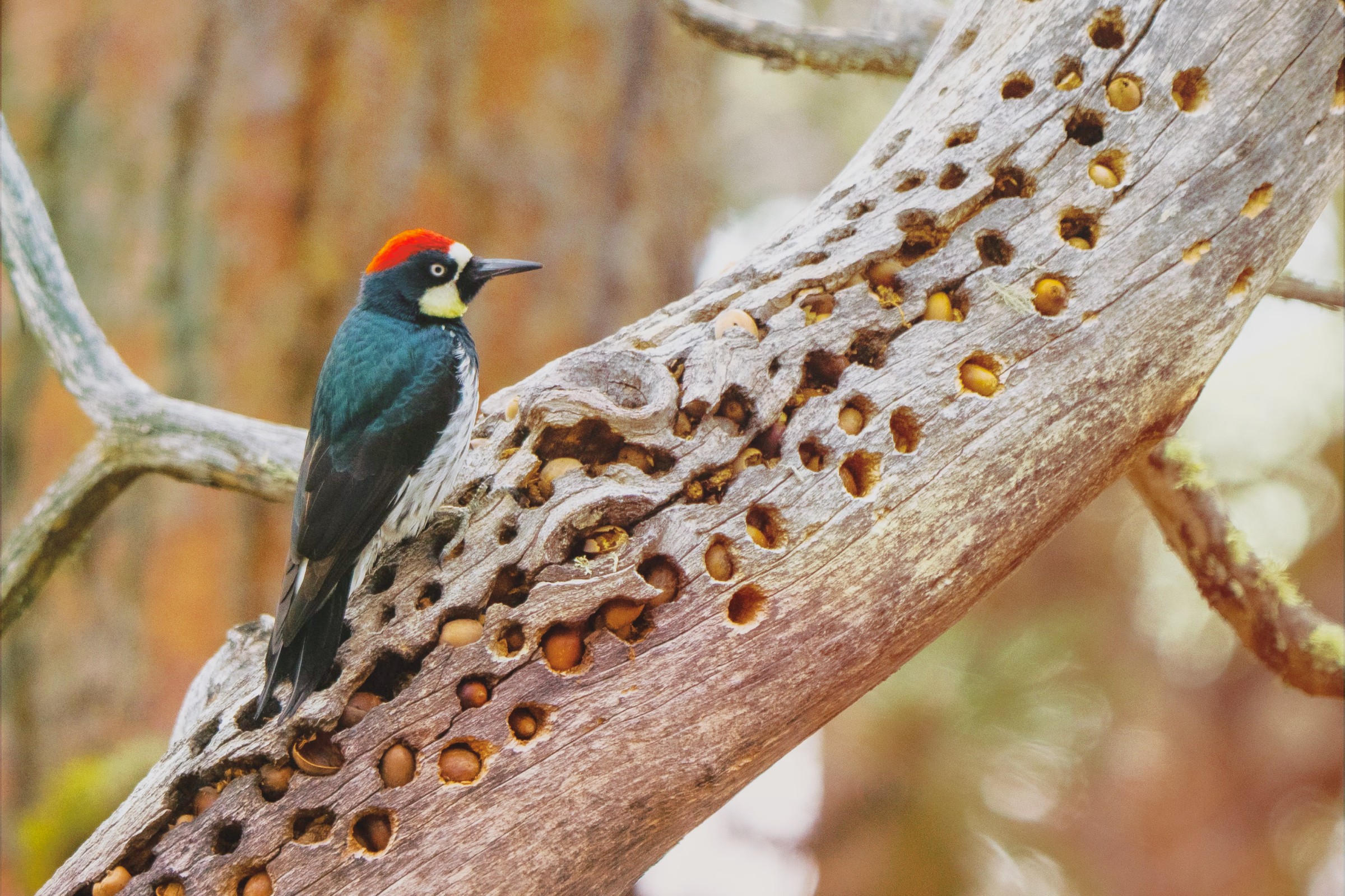 3 people during a digital consultation