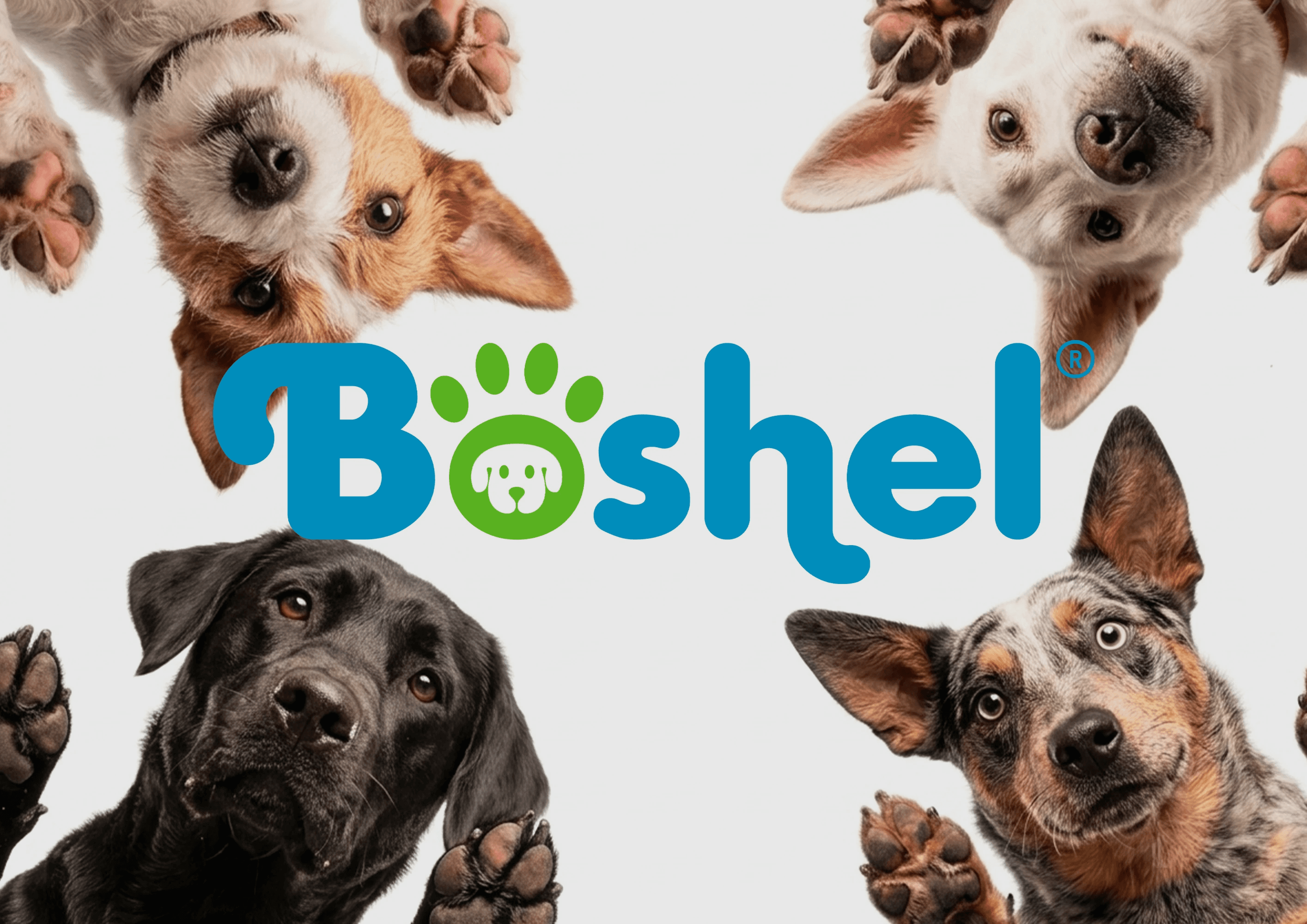 Boshel – Full eCommerce Ecosystem