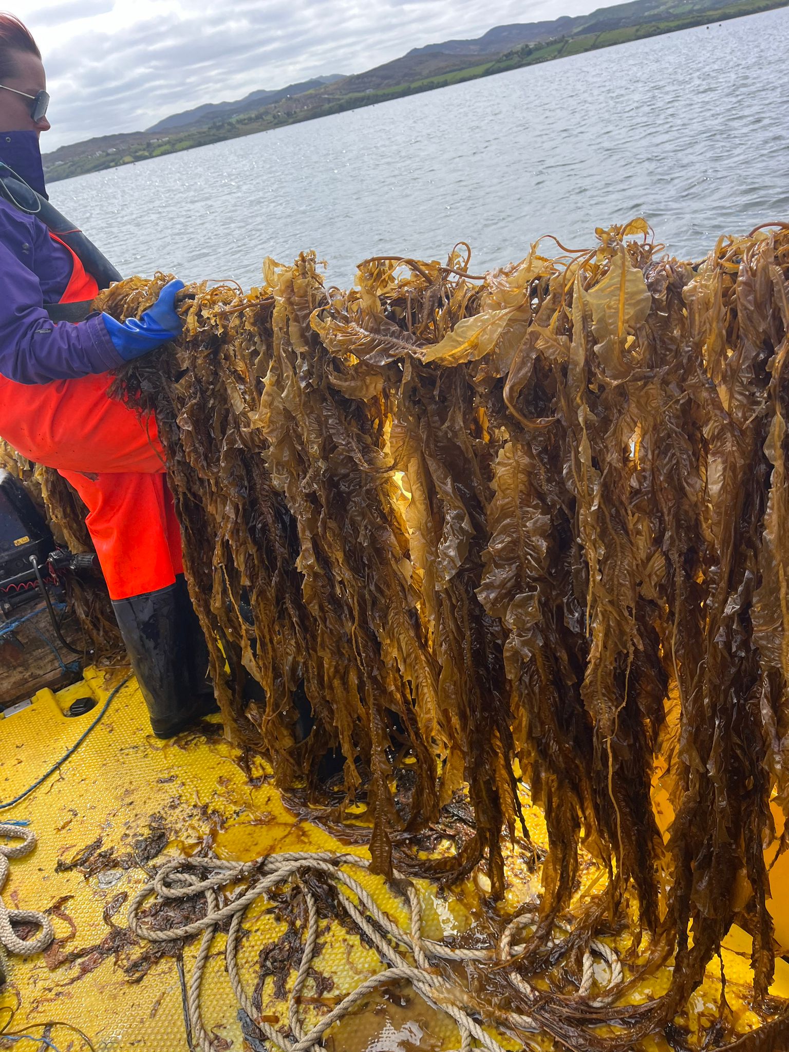 A man doing surf stunt