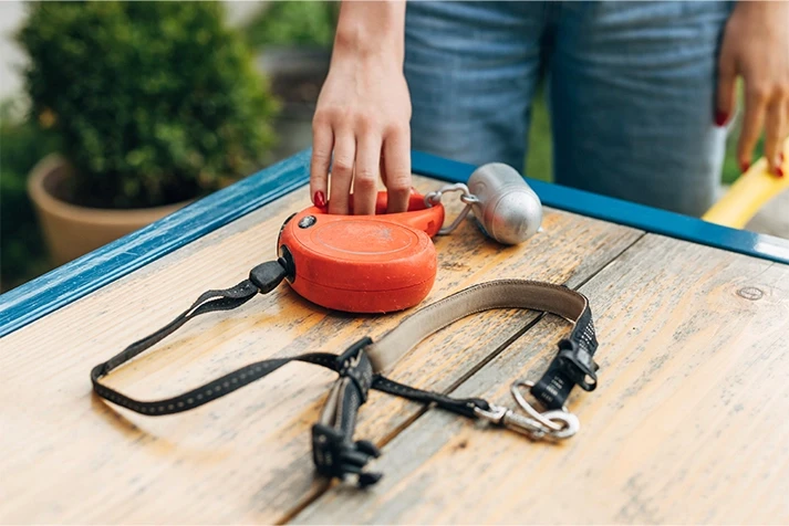 Person picking up a dog leash from a table, symbolizing responsibility and pet handling related to dog bite injuries