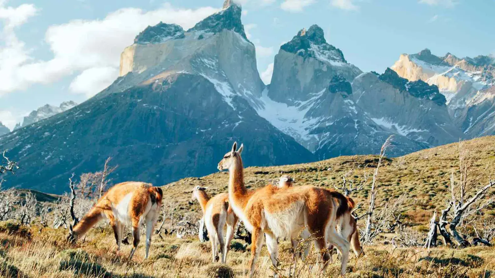 10-Day Argentina trip